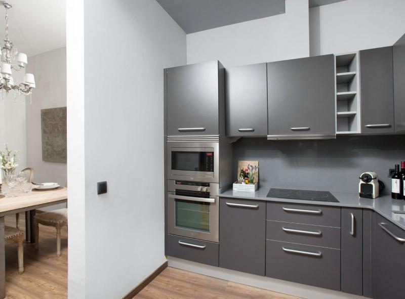 One-Bedroom Apartment image 2
