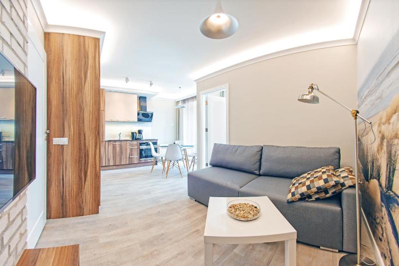 One-Bedroom Apartment image 3