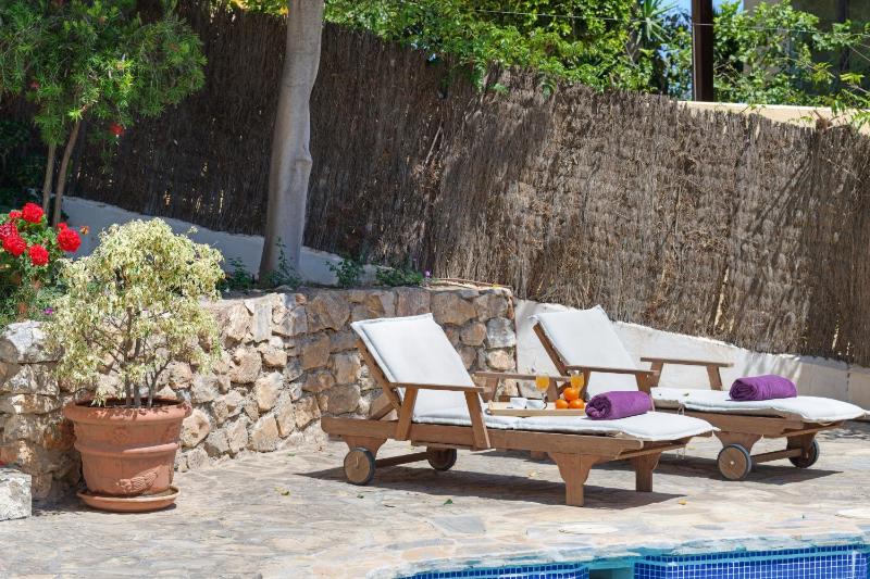 Casa Calabaza - image 7