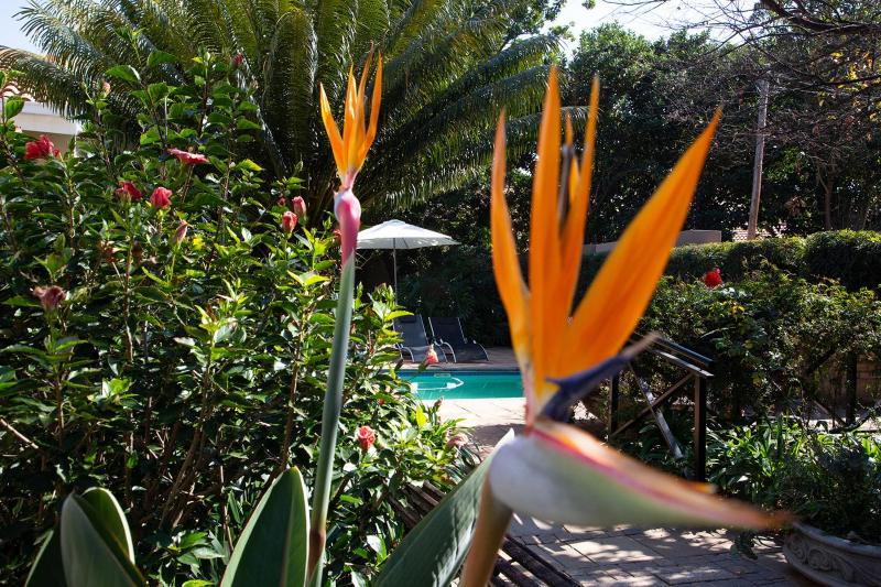 Constantia Manor Guest House - image 12