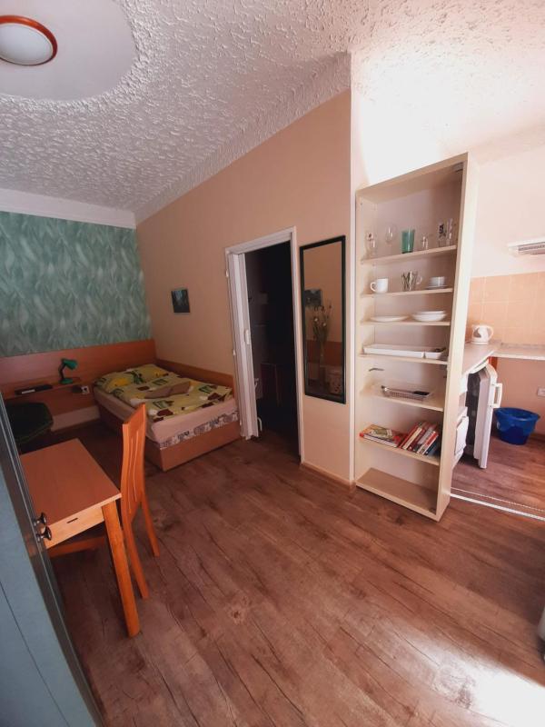 Superior Single Room image 3