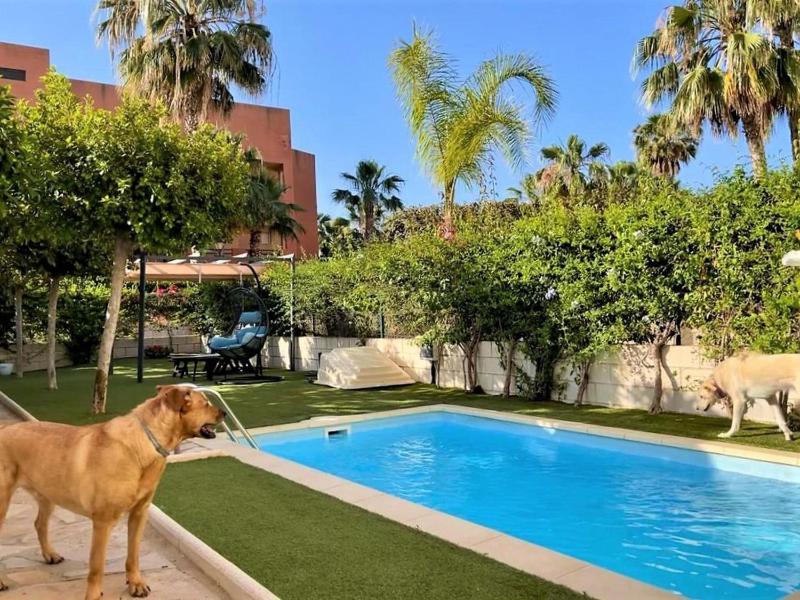 Apartment with Pool near Garrucha Beach - image 16