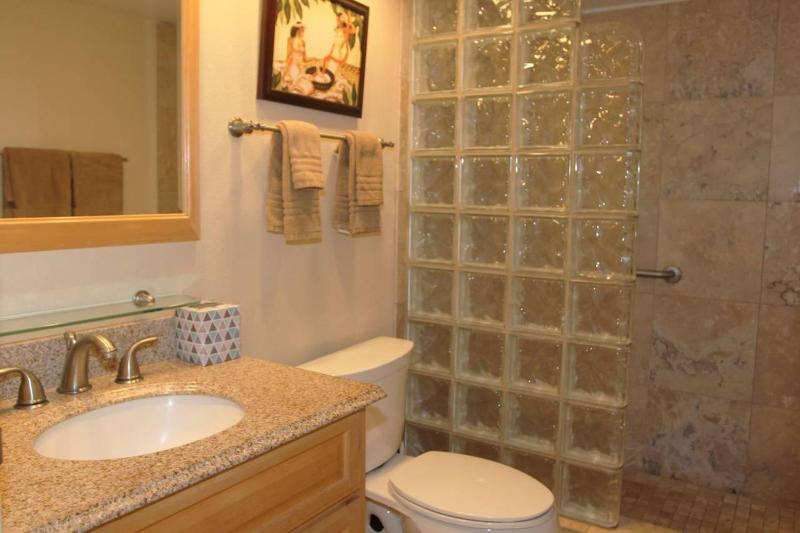 One-Bedroom Apartment image 4