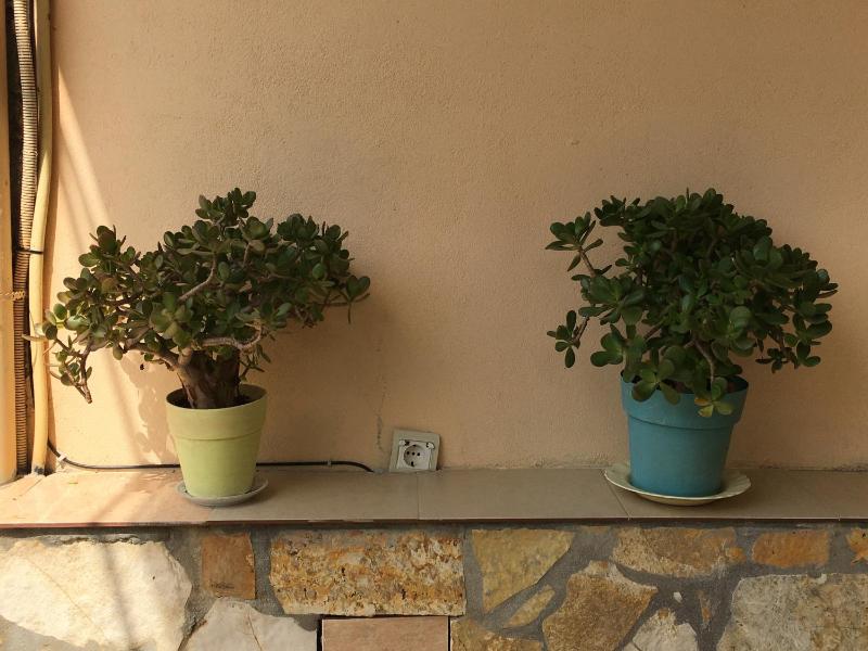 Villa Olivia Grove - image 12