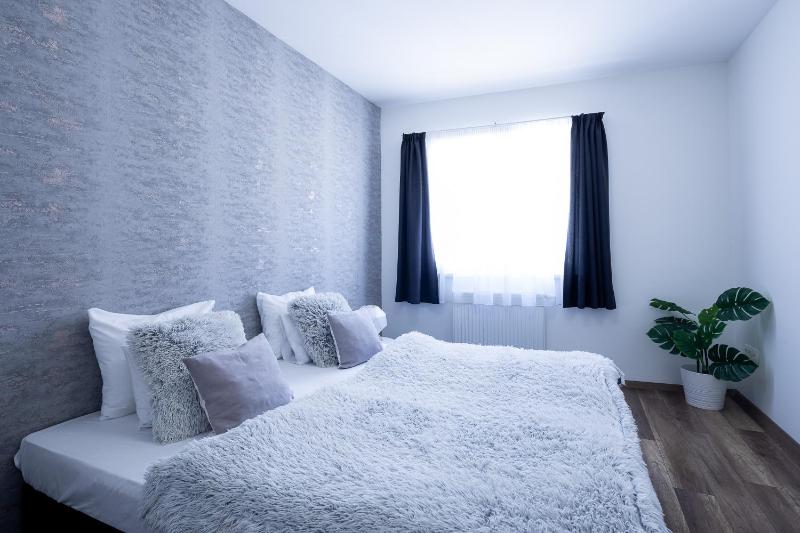 Superior One-Bedroom Apartment image 3