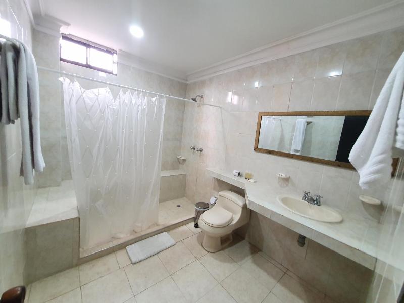 Hotel Puerta de Oro - image 32