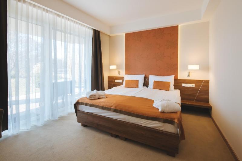 Deluxe Suite image 2
