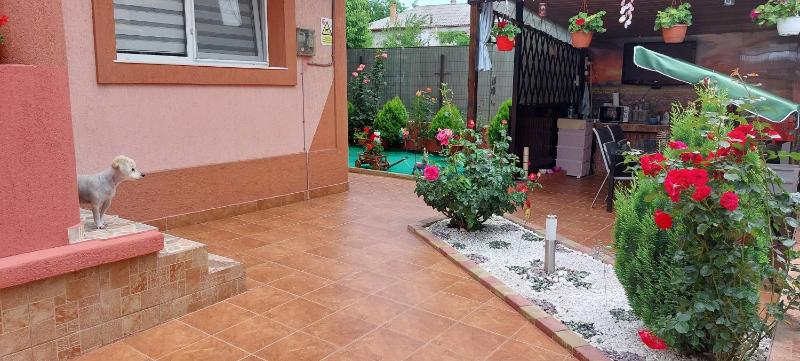 Vila Alexandru - image 17