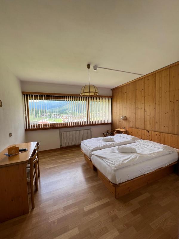 Double or Twin Room image 1