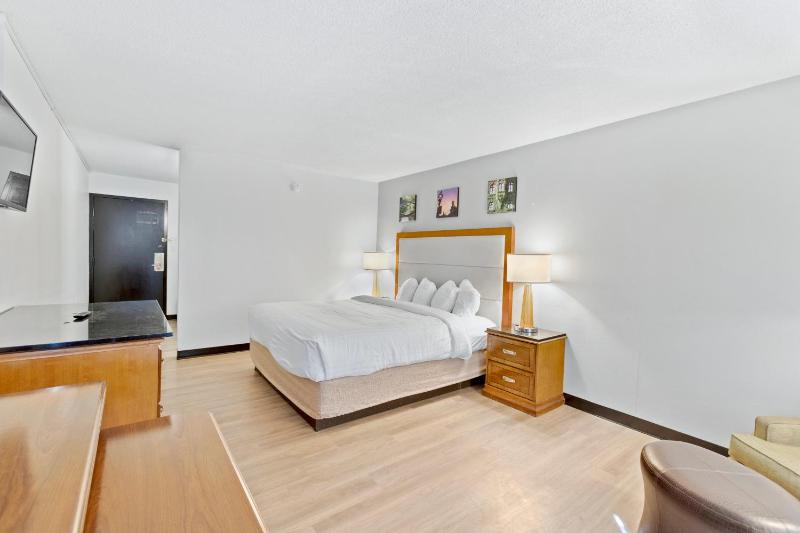 King Room - Non-Smoking image 4