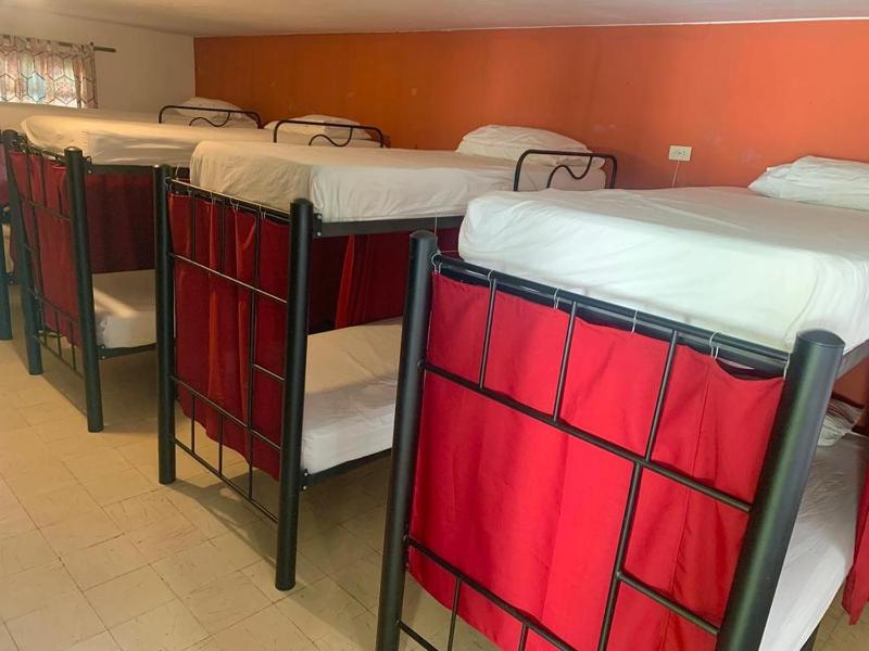 Bed in 8-Bed Mixed Dormitory Room image 1