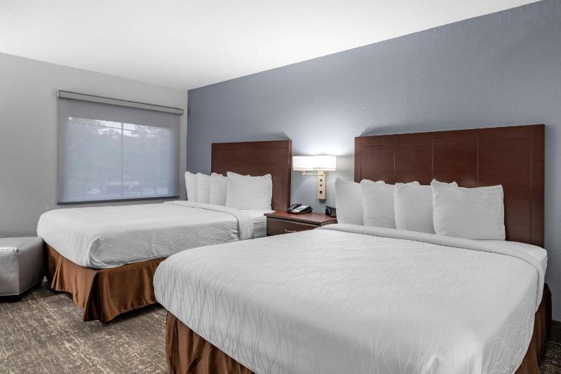Queen Room with Two Queen Beds - Non-Smoking image 4