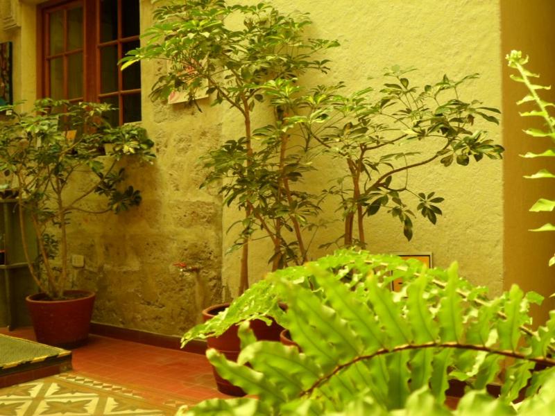 Hotel La Posada de Ugarte - image 9