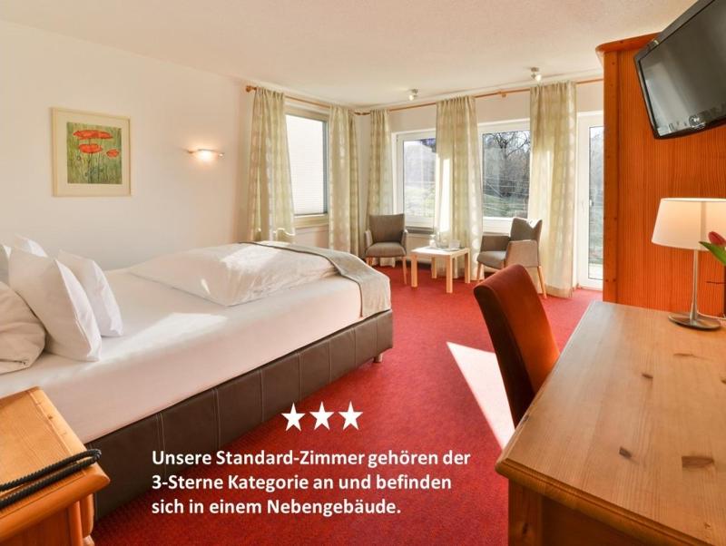 Standard Single Room image 3