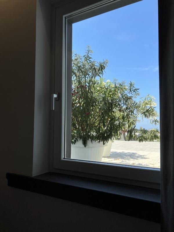 Single Room image 3