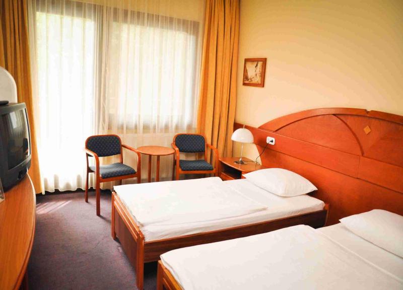 Standard Twin Room image 4