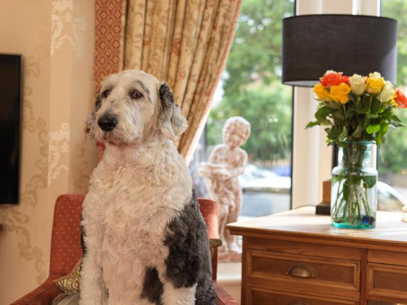 Luxury Single Room image 4