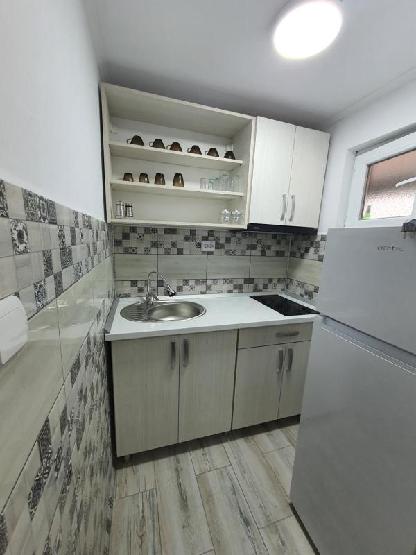 One-Bedroom Apartment image 3