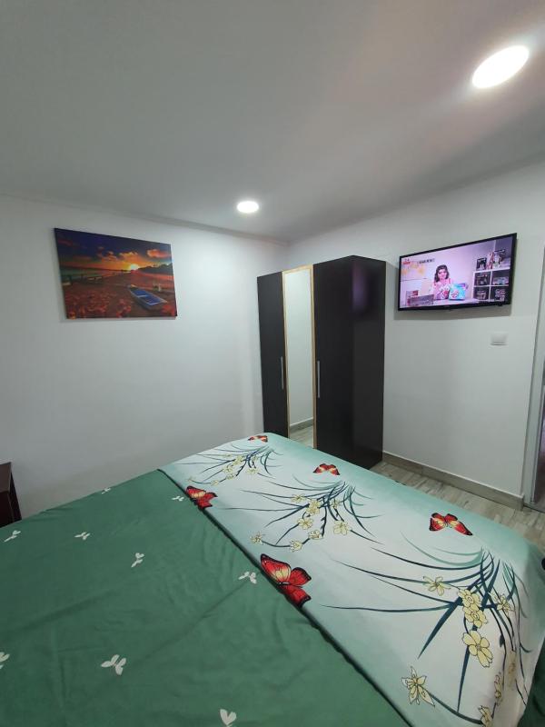 One-Bedroom Apartment image 4