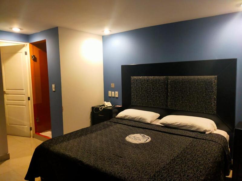 Hotel Plaza Delta - image 15