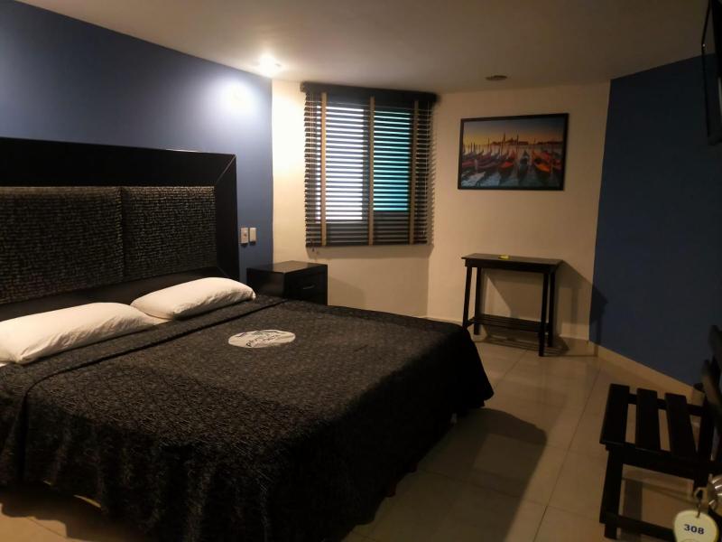 Hotel Plaza Delta - image 14