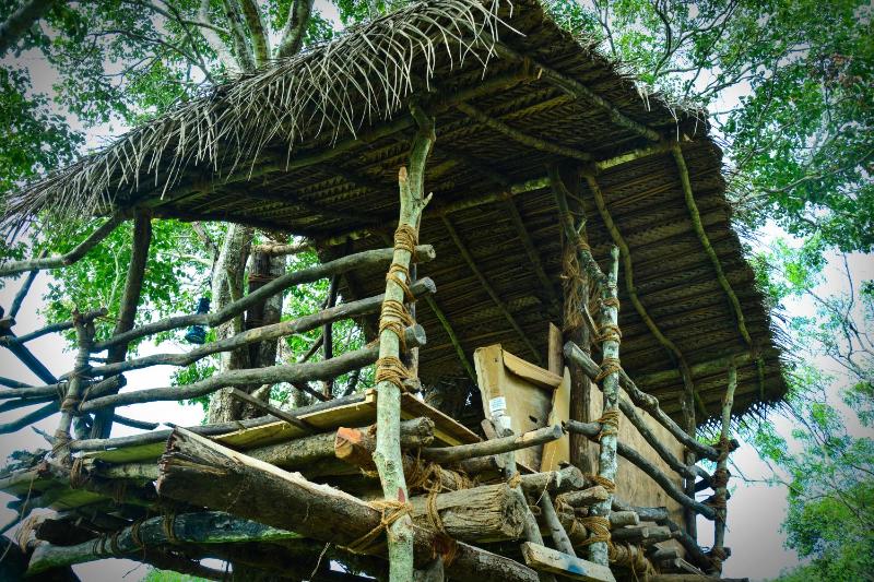 Hotel Sigiriya Kele - image 11
