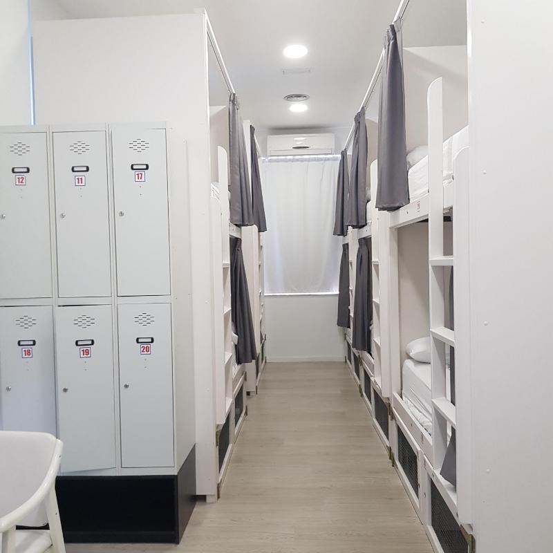 Bunk Bed in Mixed Dormitory Room image 1
