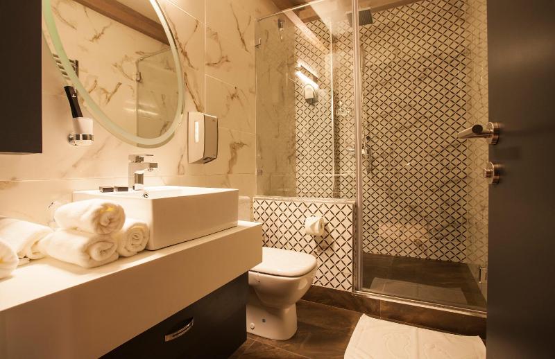 Deluxe Double or Twin Room image 4