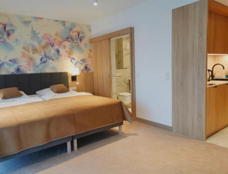 Double Room LUX with kitchenette image 3