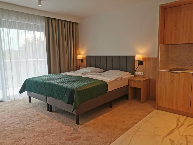 Deluxe Double Room with Kitchenette image 3