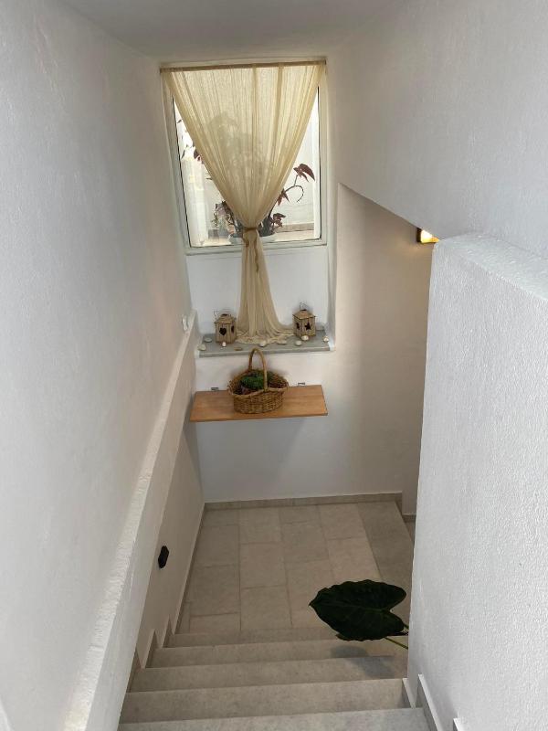 One-Bedroom Apartment image 3