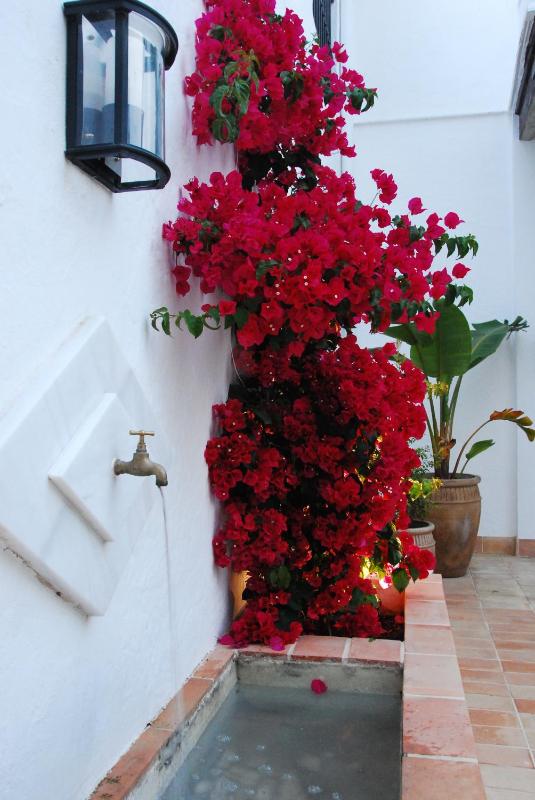 Albariza Hotel Boutique - image 20
