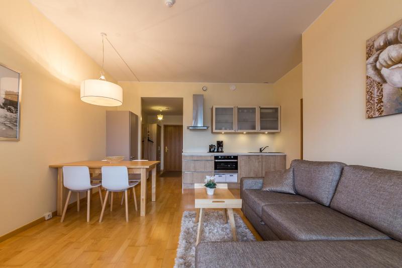 One-Bedroom Apartment with Terrace image 4