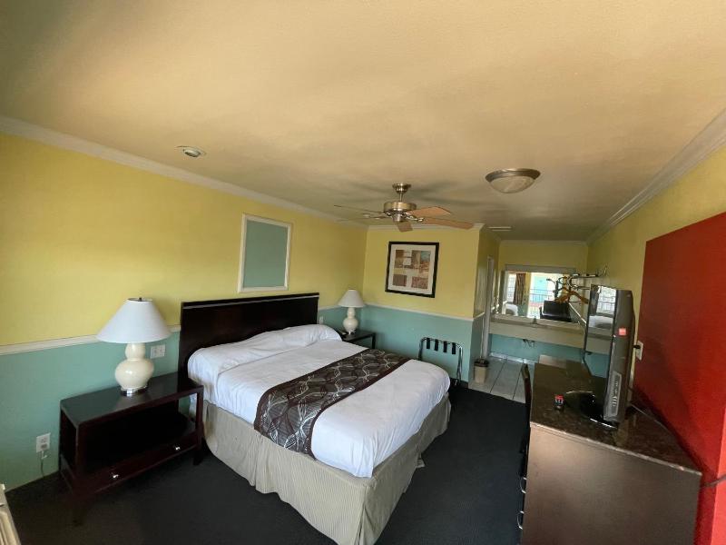 King Room image 3