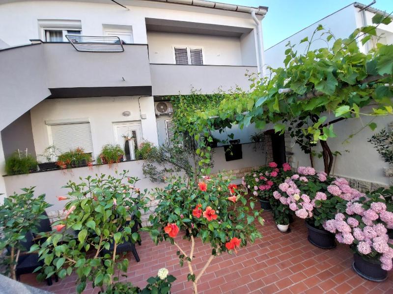 APARTMENT ELI - image 12