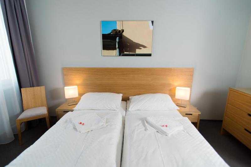 Comfort Double Room image 4