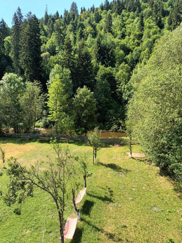 Double Room with Garden View image 2