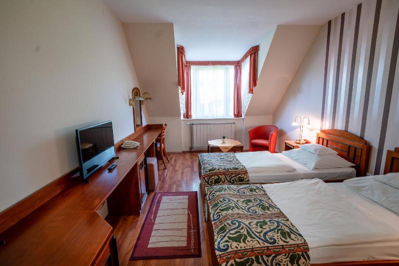 Standard Twin Room image 3