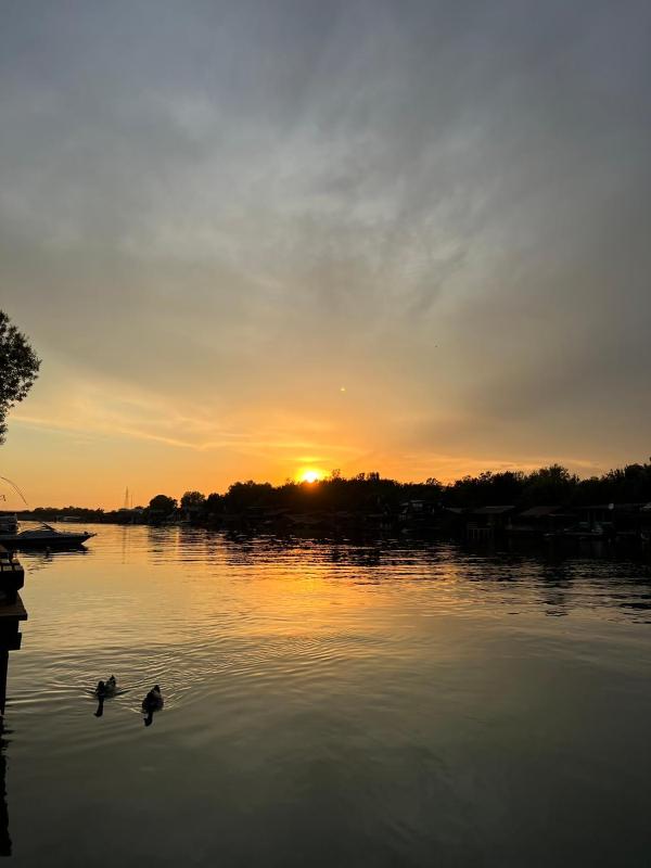 Pearl Cottage Ada Bojana - image 15