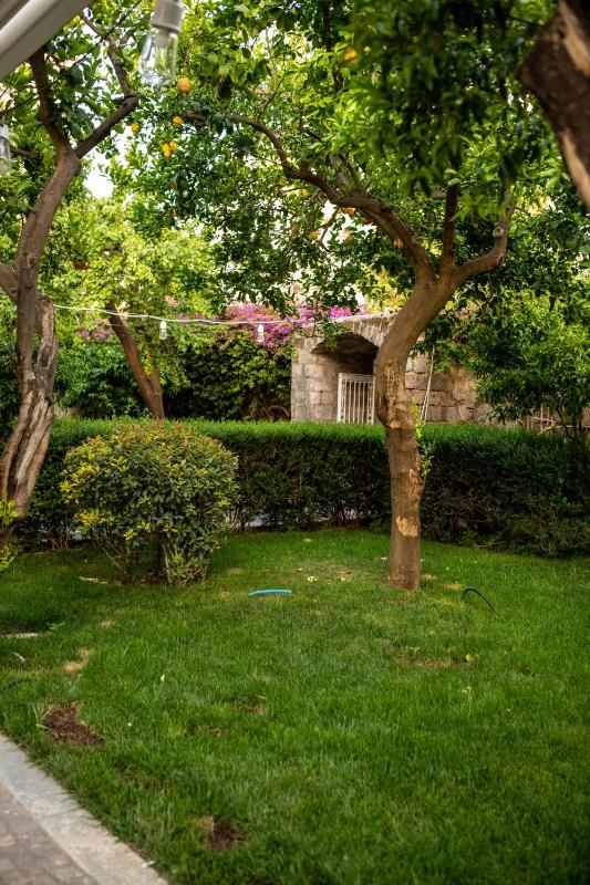 Artis Domus Relais & Spa - image 8