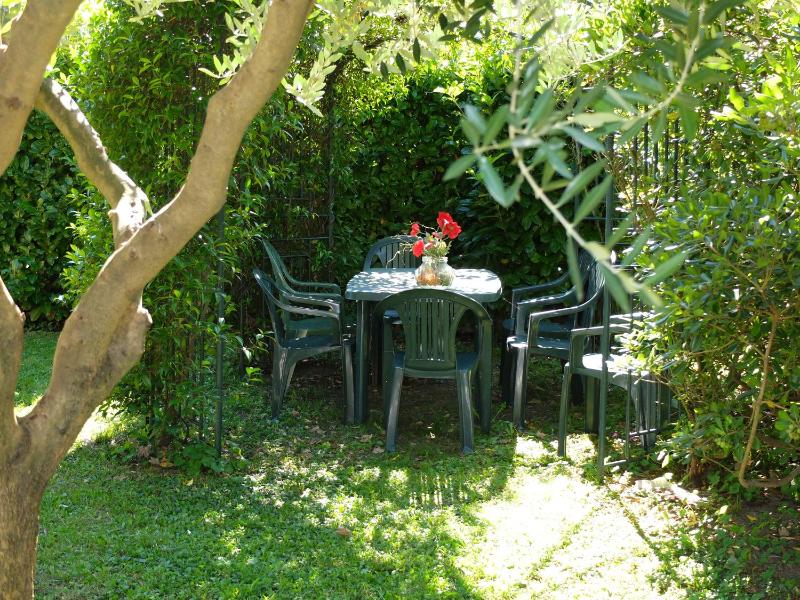 One-Bedroom Apartment image 4