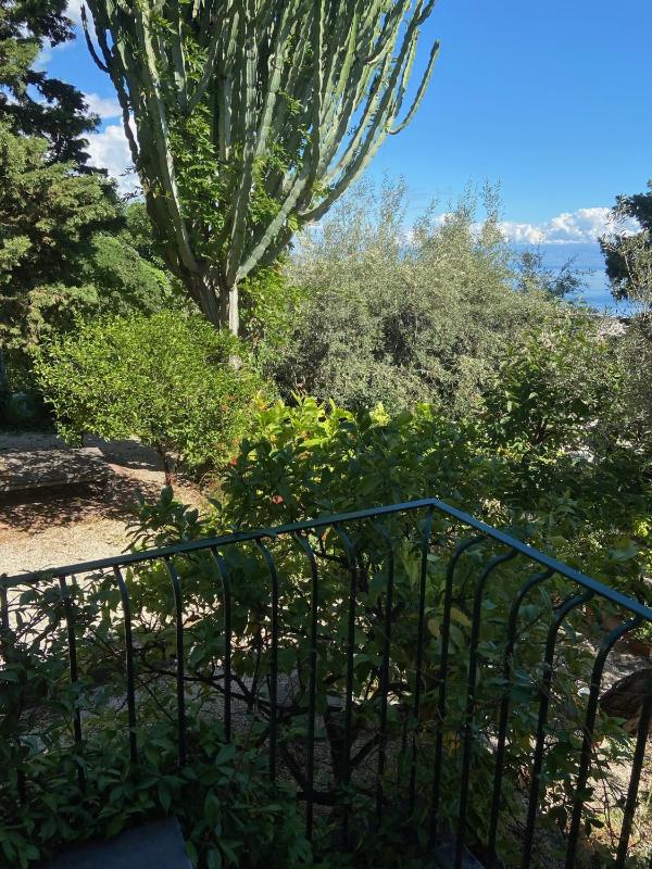 Villa Britannia - image 11