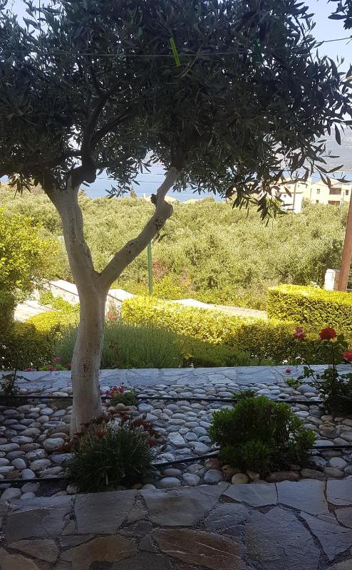 Studio with Garden View image 1
