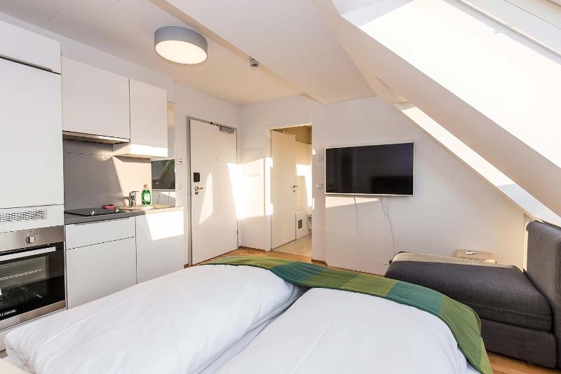 Standard Apartment image 4