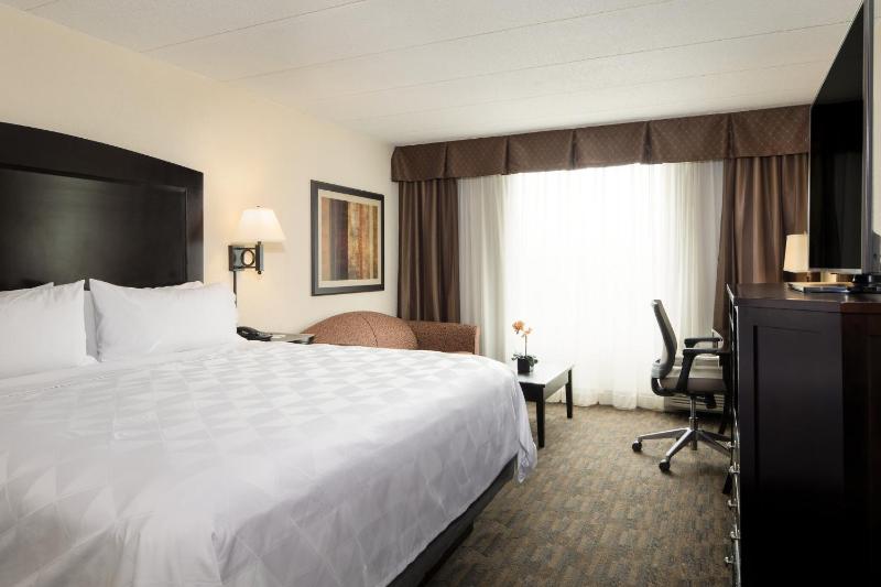 Standard King Room with Sofa Bed image 3