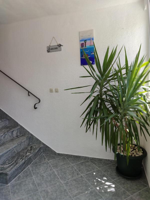 Apartments and Rooms Marica - image 12