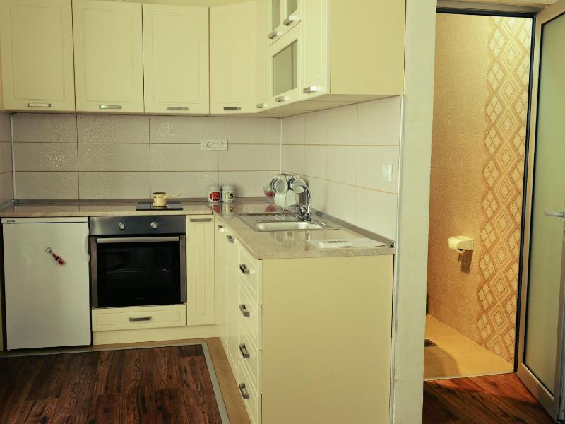One-Bedroom Apartment image 2