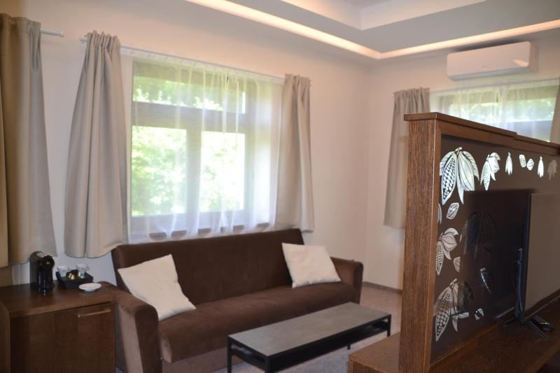 Deluxe Double or Twin Room image 4