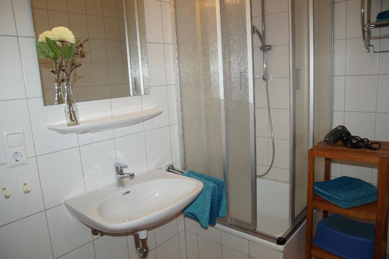 Apartment with Shower image 4