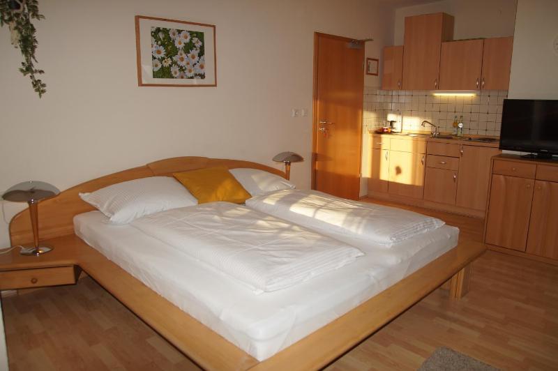 One-Bedroom Apartment image 4